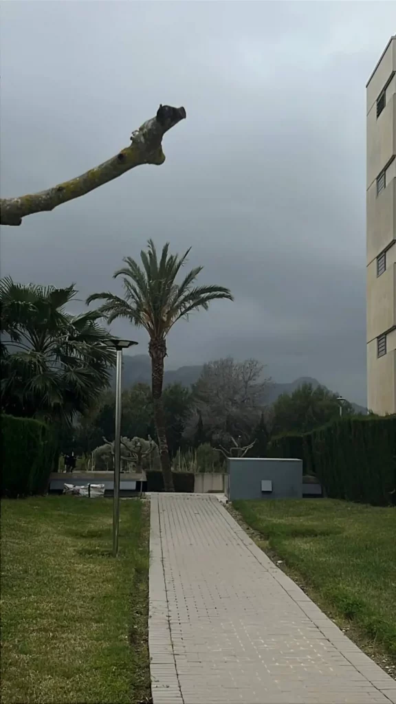 6042106477176538925 (1)