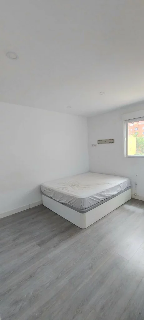 photo_2025-05-06_18-31-37 (2)